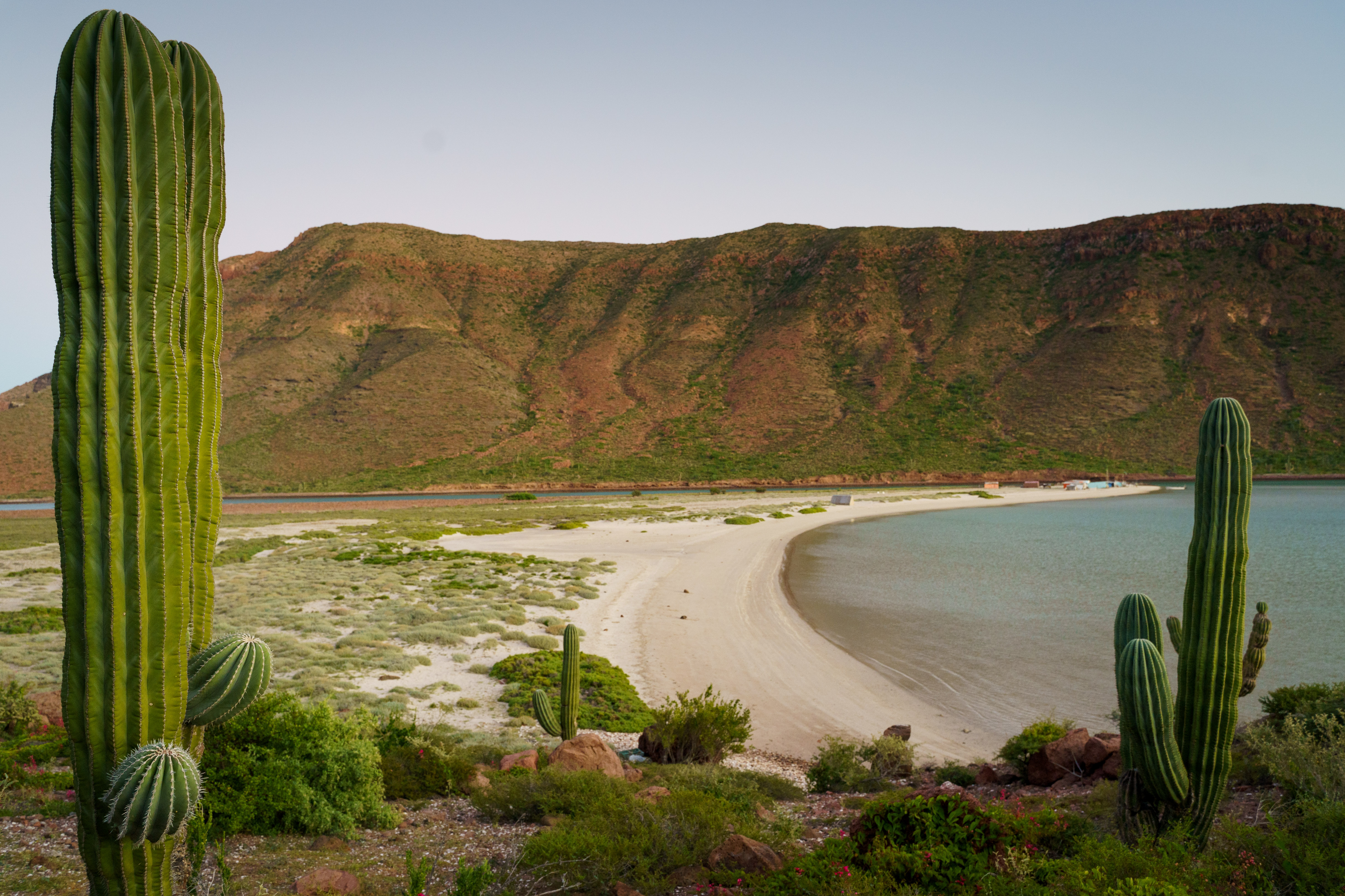 Baja California coastline