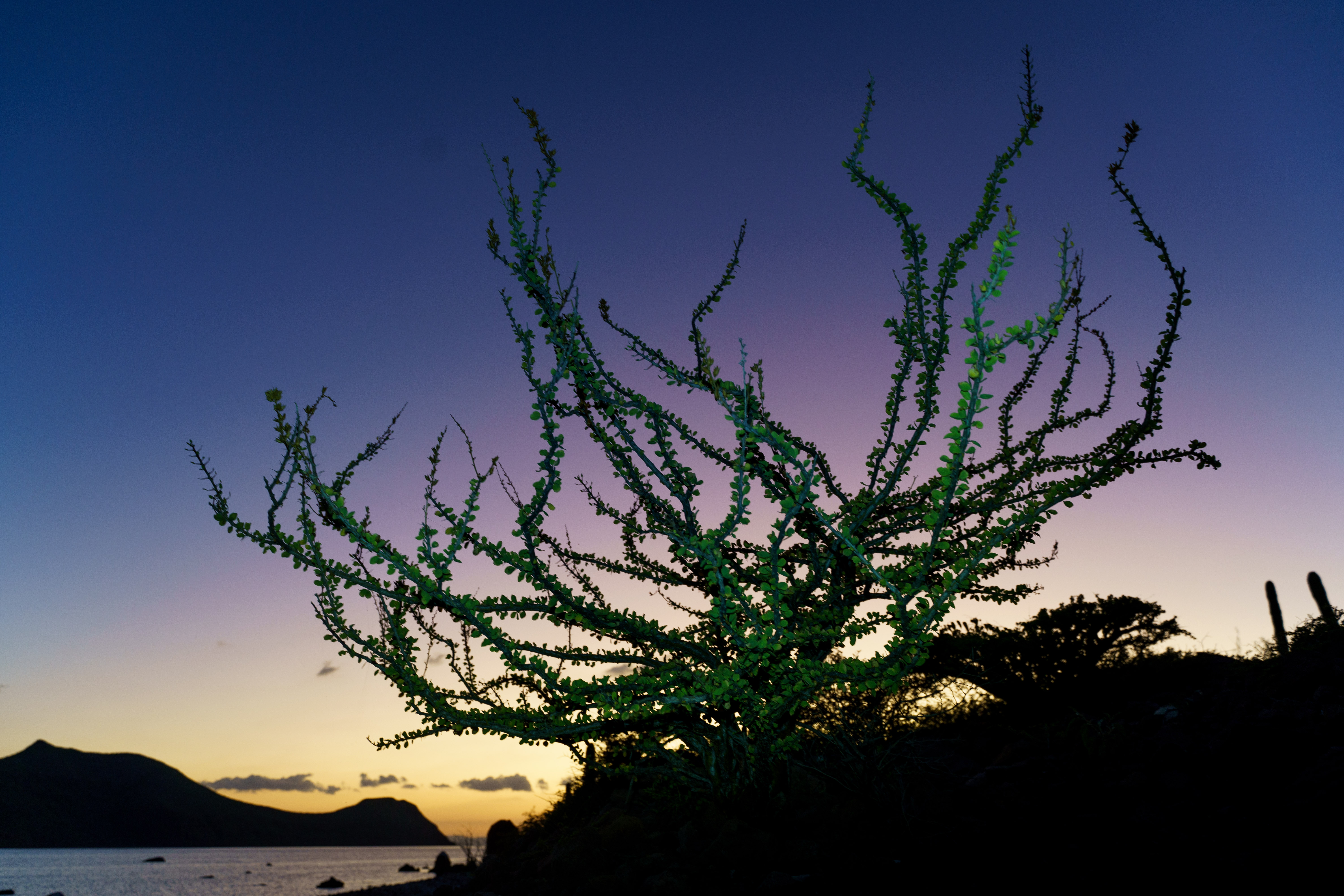 Baja California landscape