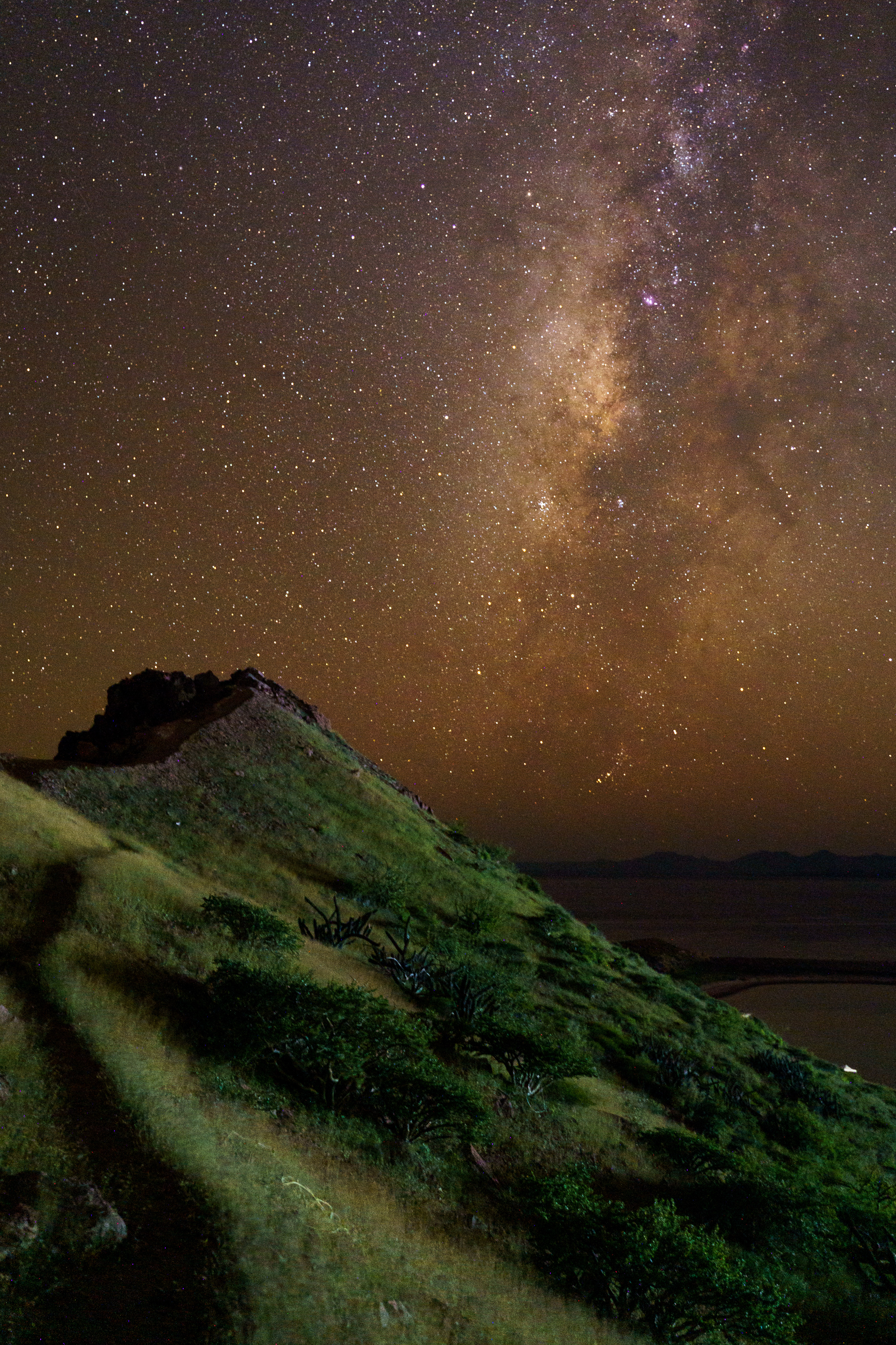 Baja California field work