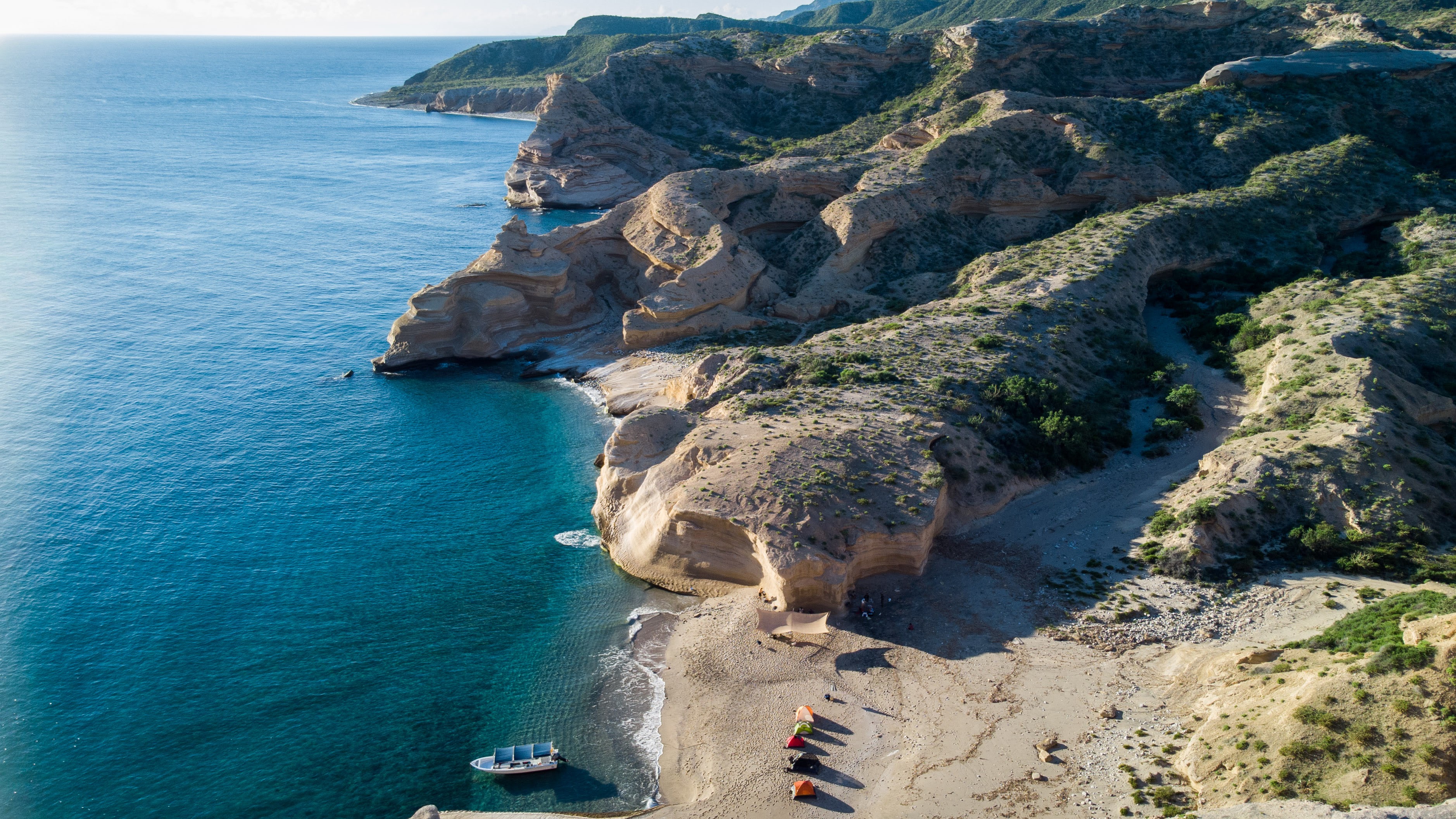 Baja California island survey