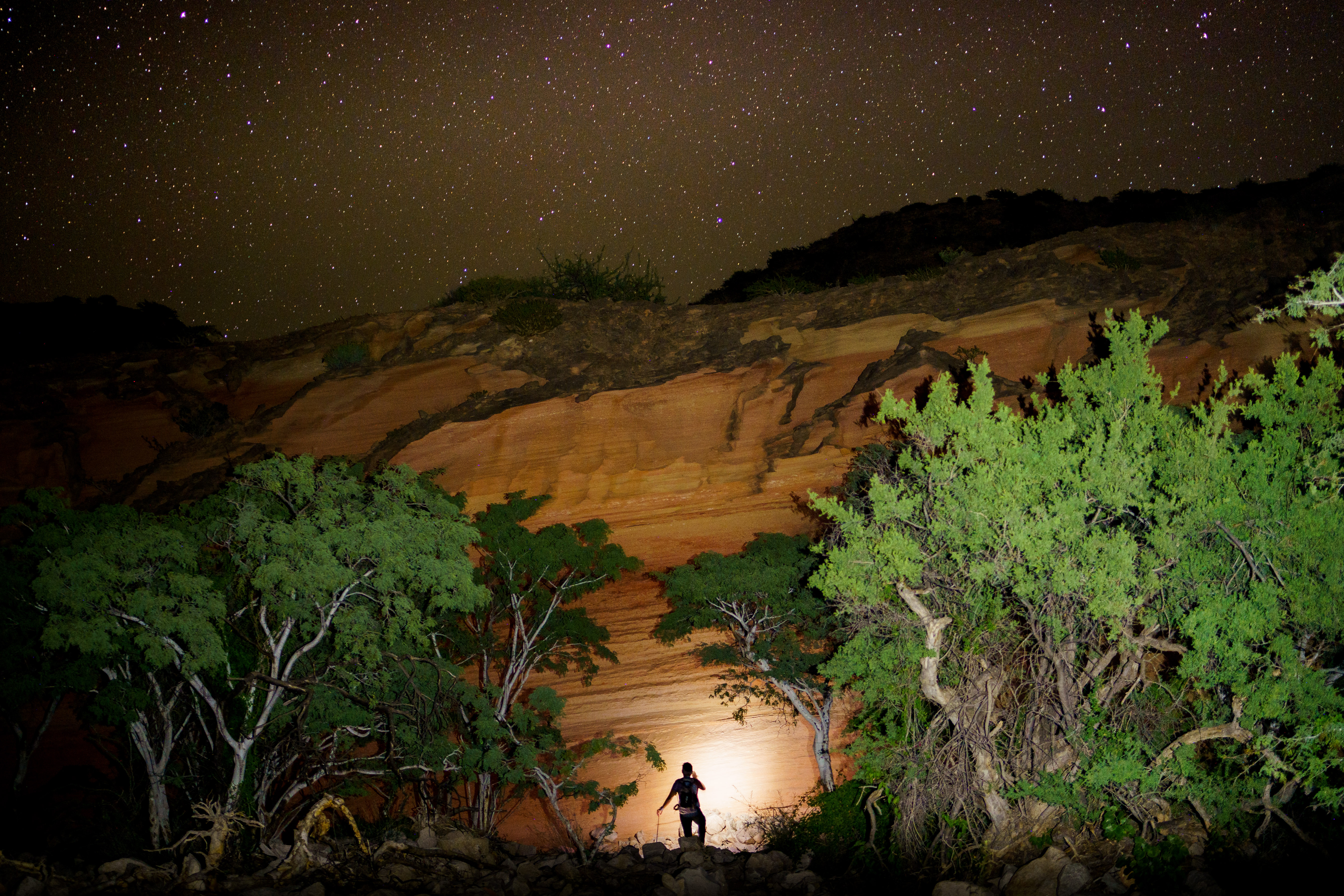 Baja California 2022 field work